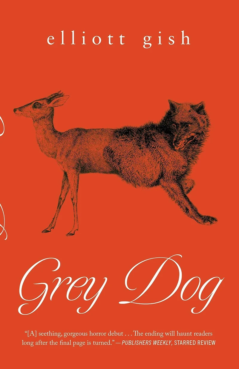 Grey Dog