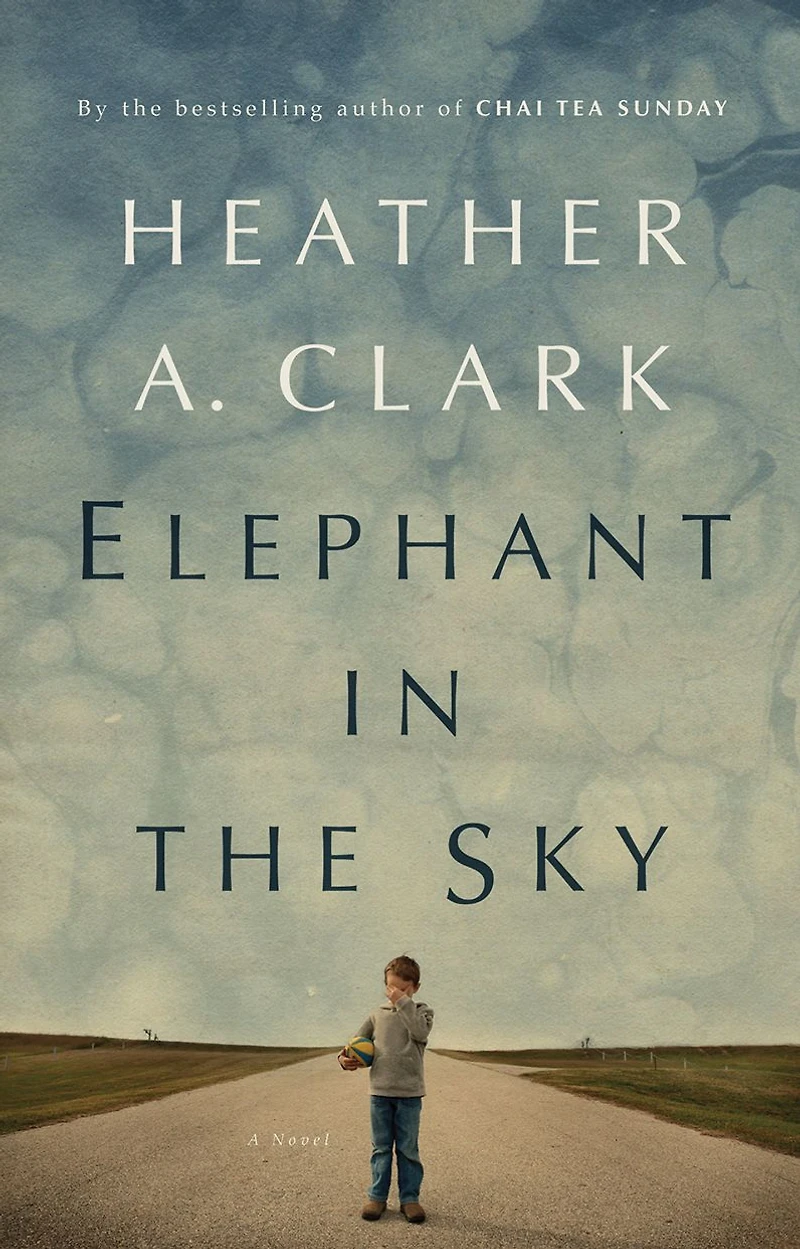Elephant the Sky: A Novel