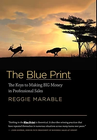 The Blue Print: Keys to Making BIG Money Professional Sales