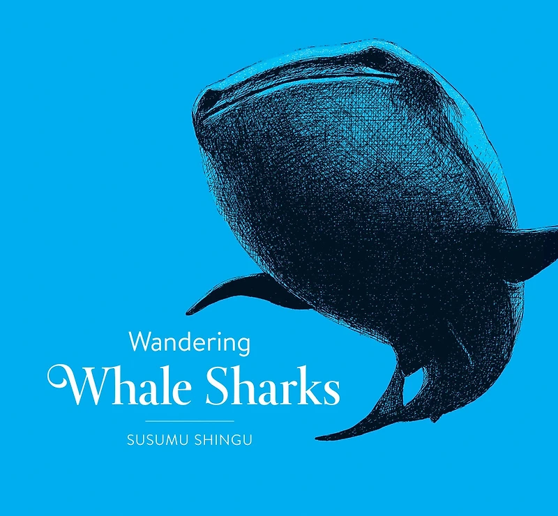 Wandering Whale Sharks