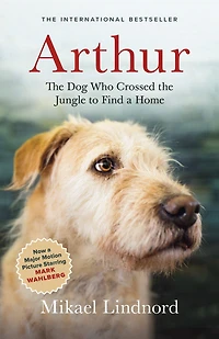 Arthur: the Dog Who Crossed Jungle to Find a Home