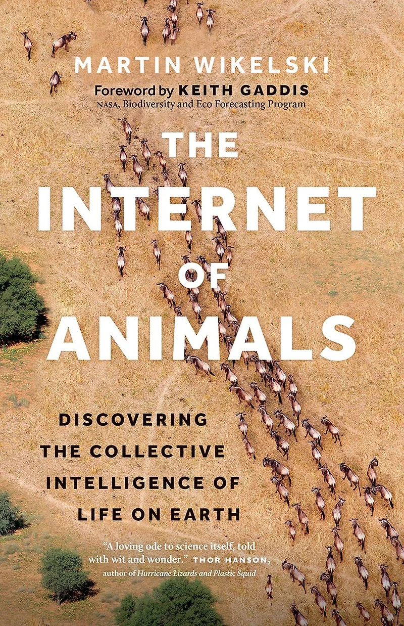 the Internet of Animals: Discovering Collective Intelligence Life on Earth