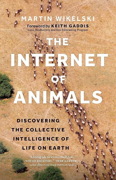 the Internet of Animals: Discovering Collective Intelligence Life on Earth