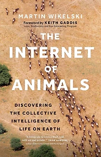 the Internet of Animals: Discovering Collective Intelligence Life on Earth