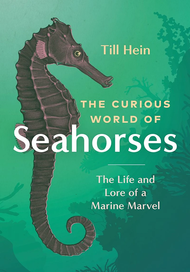 The Curious World of Seahorses: Life and Lore a Marine Marvel