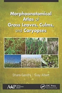 Morphoanatomical Atlas of Grass Leaves, Culms, and Caryopses