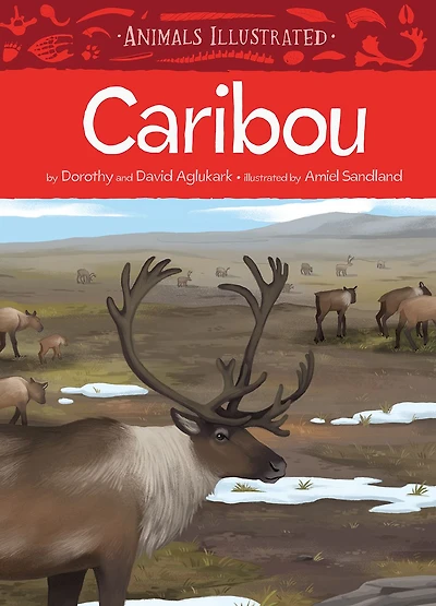 Animals Illustrated: Caribou
