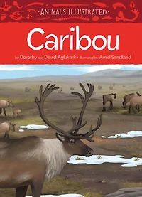 Animals Illustrated: Caribou