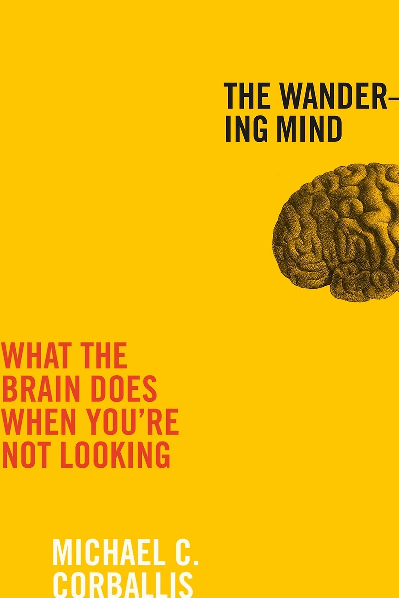 the Wandering Mind: What Brain Does When You're Not Looking