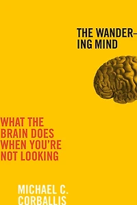 the Wandering Mind: What Brain Does When You're Not Looking