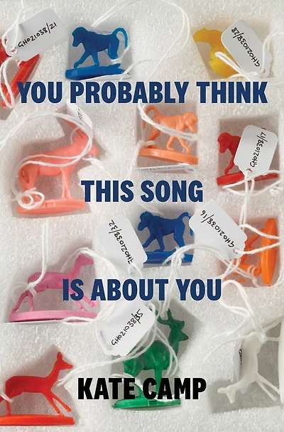 You Probably Think This Song Is About