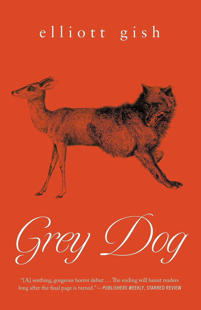 Grey Dog