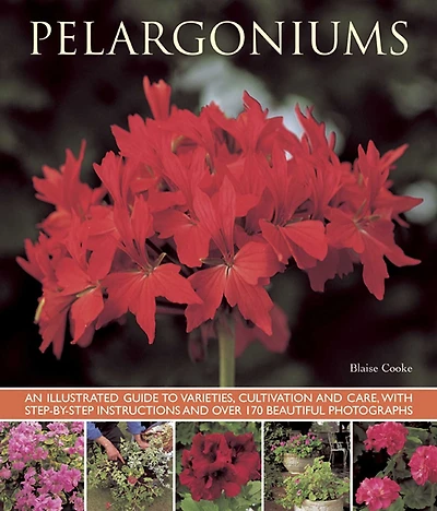 Pelargoniums: An Illustrated Guide to Varieties, Cultivation and Care, With Step-by-Step Instructions and Over 170 Beautiful Photographs