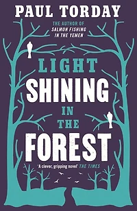 Light Shining the Forest