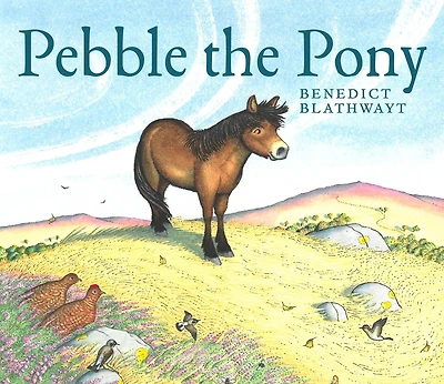 Pebble the Pony