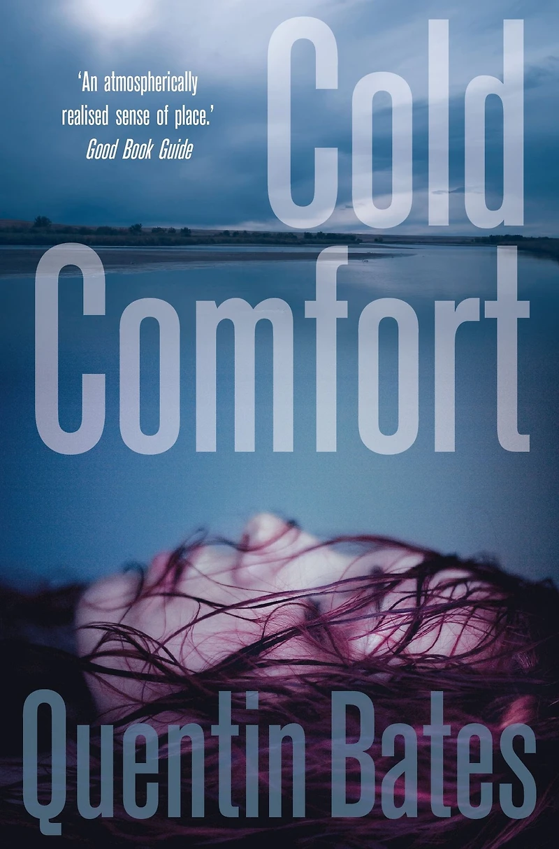 Cold Comfort (Officer Gunnhilder Series #2)
