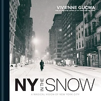 New York the Snow: A Magical Vision of City