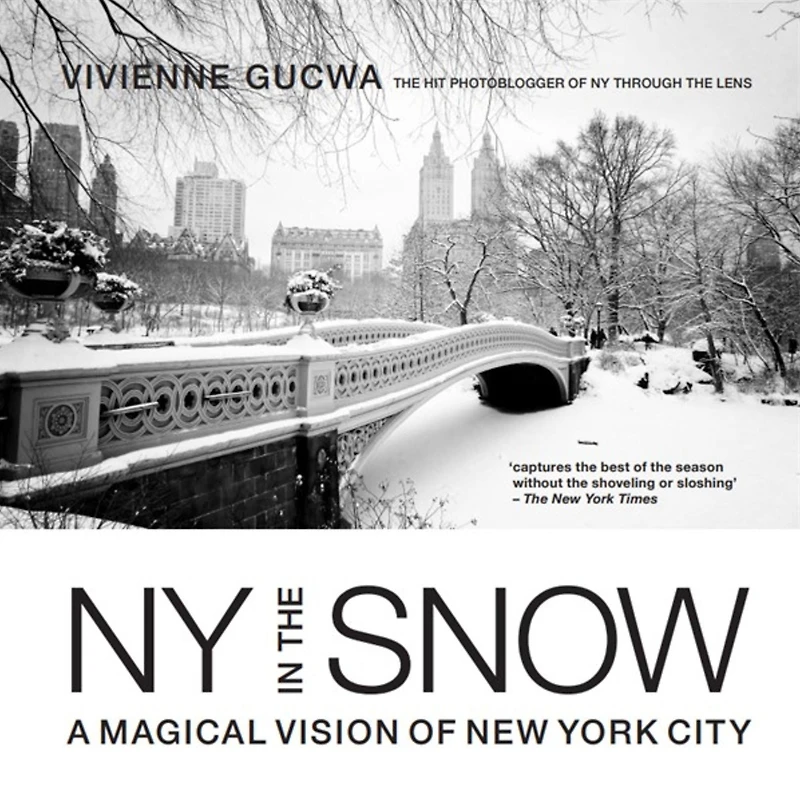 New York the Snow: A Magical Vision of City