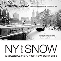 New York the Snow: A Magical Vision of City