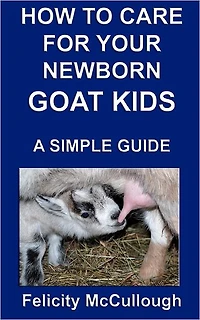 How To Care For Your Newborn Goat Kids A Simple Guide: Goat Knowledge