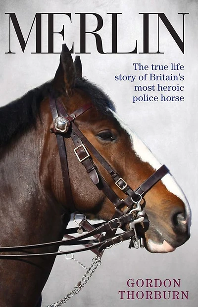 Merlin: The True Life Story of Britain's Most Heroic Police Horse