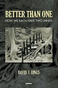 Better Than One: How We Each Have Two Minds