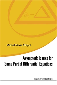ASYMPTOTIC ISSUES FOR SOME PARTIAL DIFFERENTIAL EQUATIONS