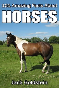101 Amazing Facts about Horses