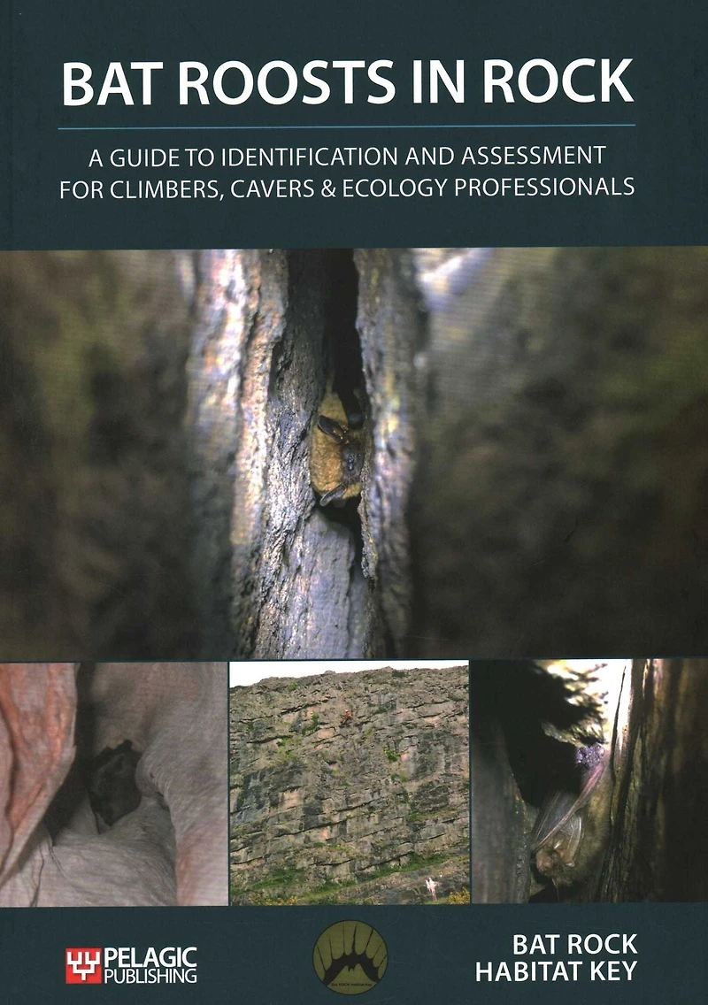Bat Roosts Rock: A Guide to Identification and Assessment for Climbers, Cavers & Ecology Professionals