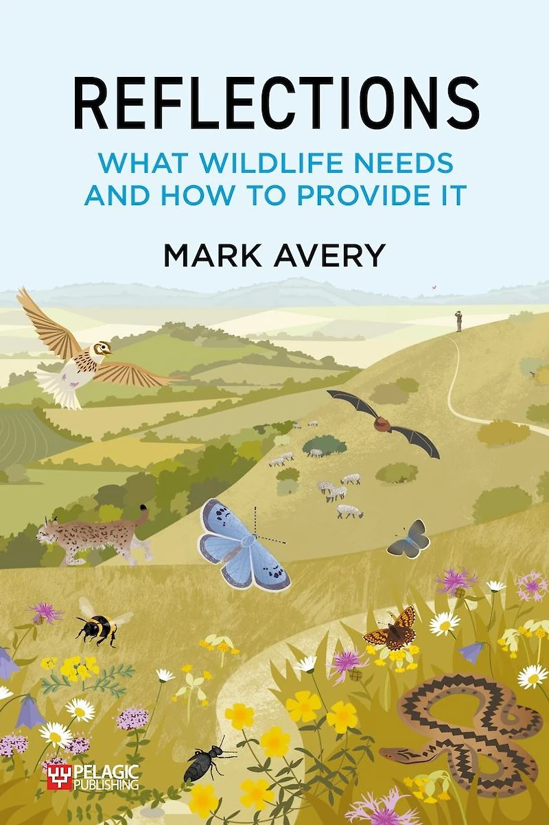 Reflections: What Wildlife Needs and How to Provide It