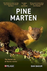 Pine Marten: The Secret Life of martes