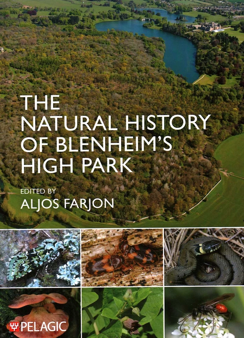 The Natural History of Blenheim's High Park