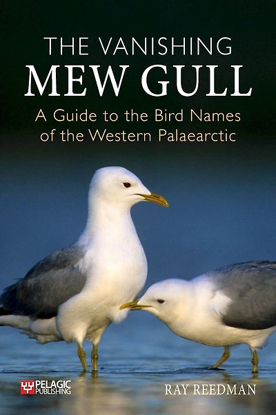 Vanishing Mew Gull: A Guide to the Bird Names of Western Palaearctic
