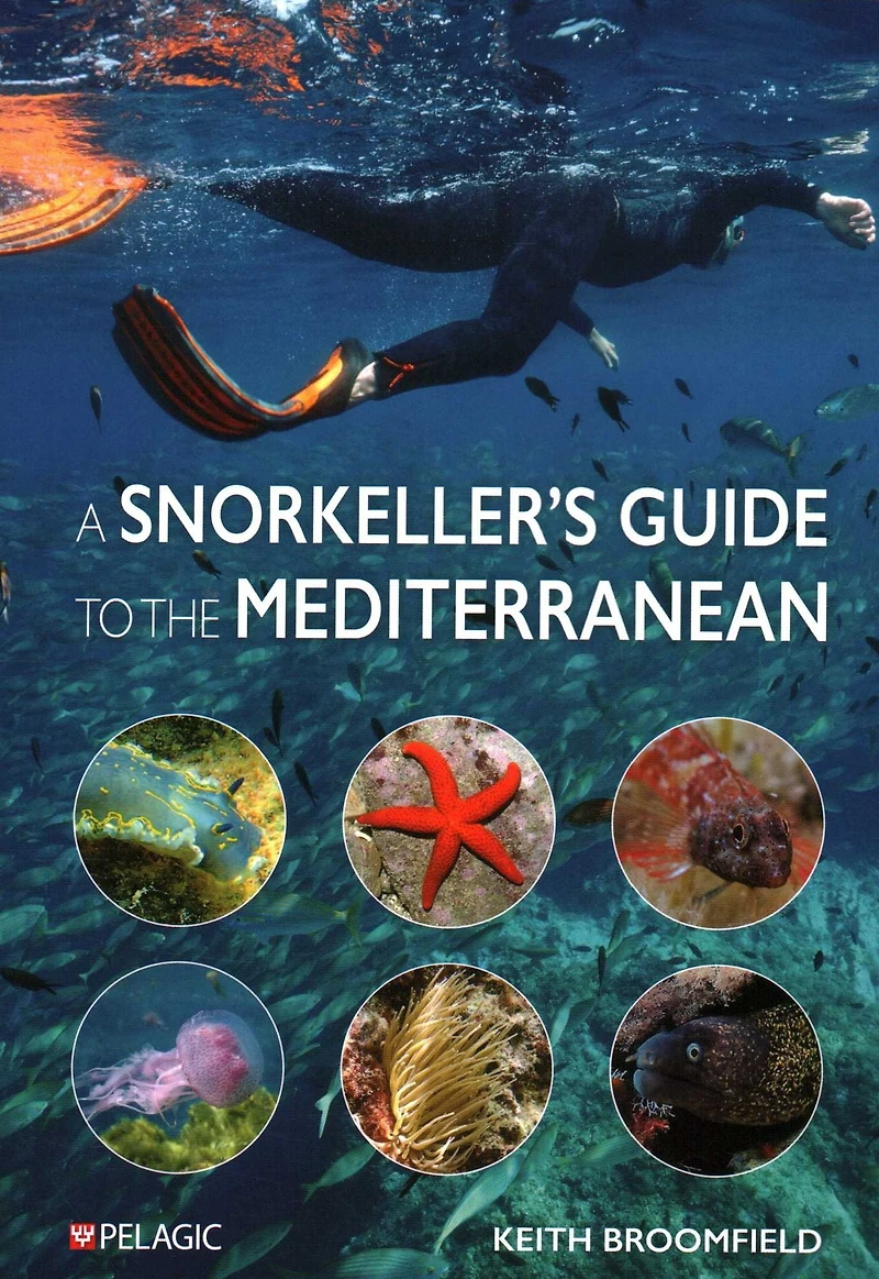 Snorkeller's guide to the Mediterranean: A photographic ID most commonly encountered marine species