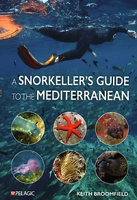 Snorkeller's guide to the Mediterranean: A photographic ID most commonly encountered marine species