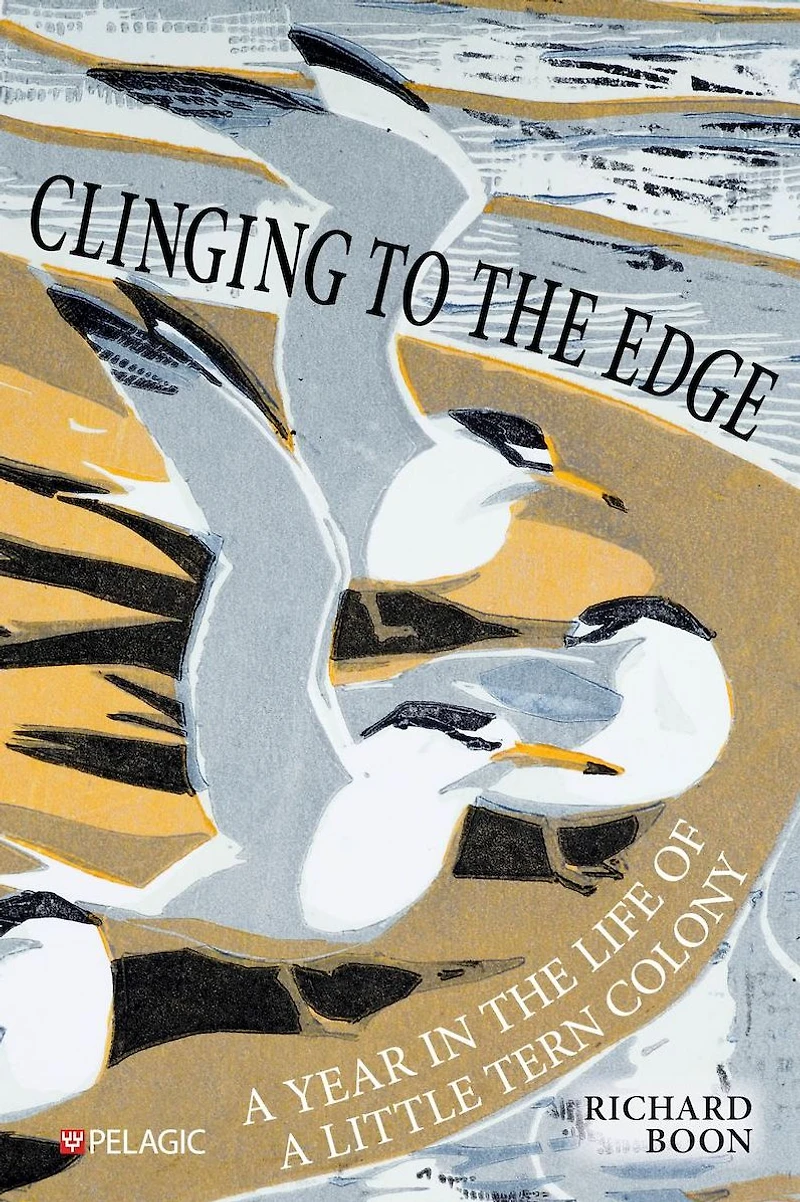 Clinging to the Edge: a Year Life of Little Tern Colony