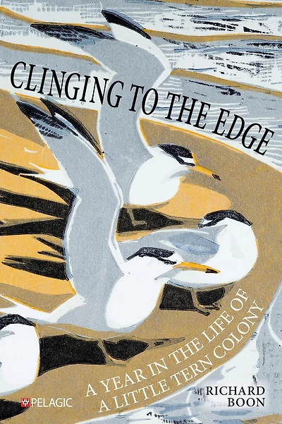 Clinging to the Edge: a Year Life of Little Tern Colony