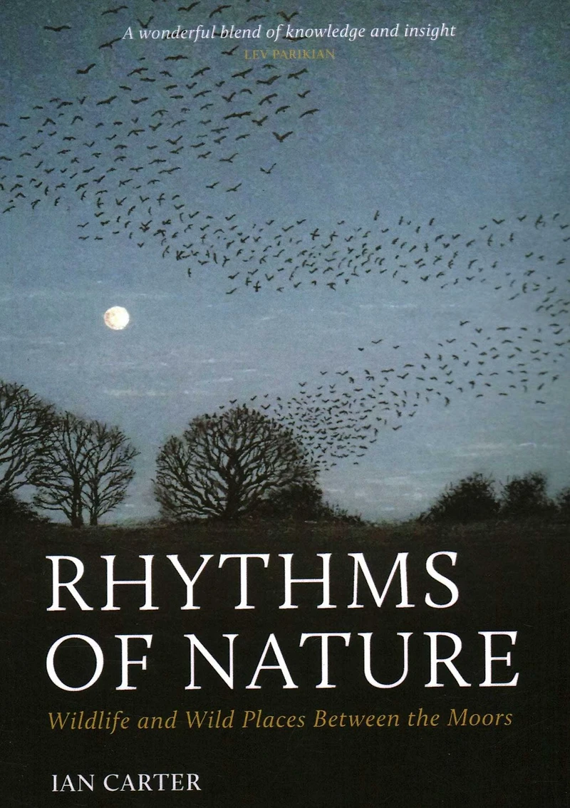 Rhythms of Nature: Wildlife and Wild Places Between the Moors