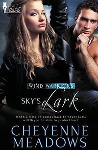 Wind Warriors: Sky's Lark