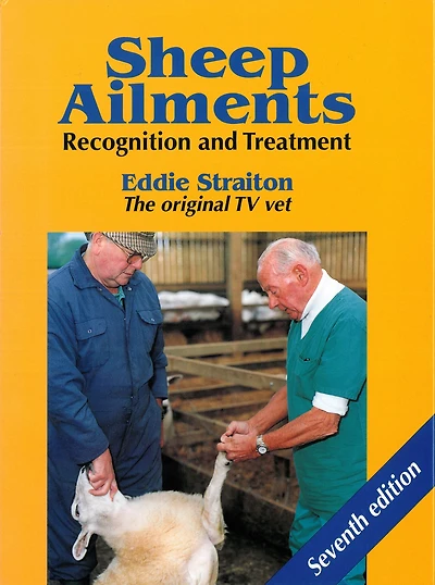 Sheep Ailments: Recognition and Treatment