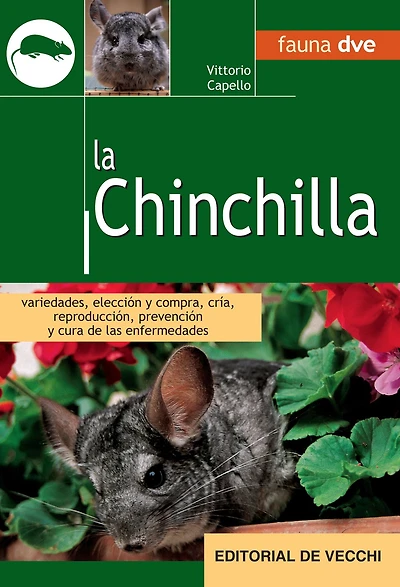 La Chinchilla: Cuidados, alimentación y cría responsable