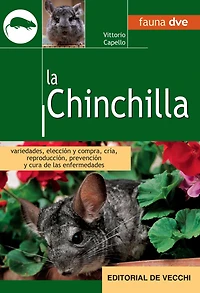 La Chinchilla: Cuidados, alimentación y cría responsable