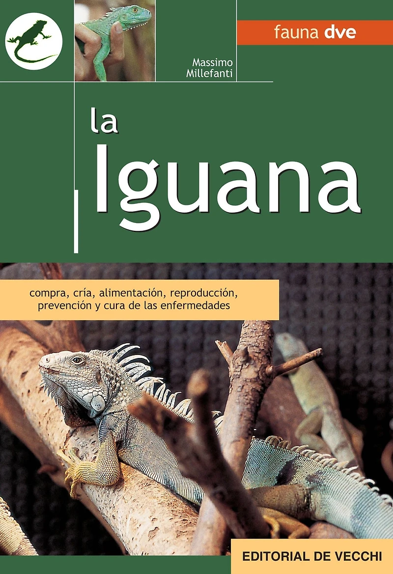 La pesca de la trucha: Las técnicas, Los materiales, Los consejos útiles, Dónde y cuándo pescar