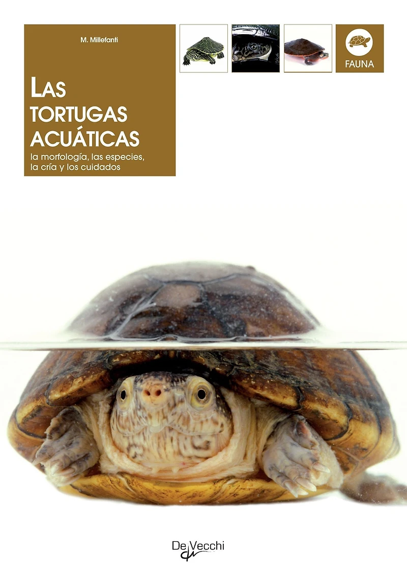 Las tortugas acuáticas: la morfología, las especies, la cría y los cuidados