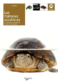 Las tortugas acuáticas: la morfología, las especies, la cría y los cuidados