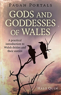 Pagan Portals - Gods And Goddesses of Wales: A Practical Introduction To Welsh Deities Their Stories