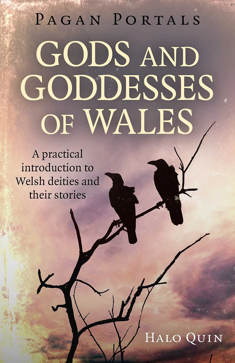 Pagan Portals - Gods And Goddesses of Wales: A Practical Introduction To Welsh Deities Their Stories