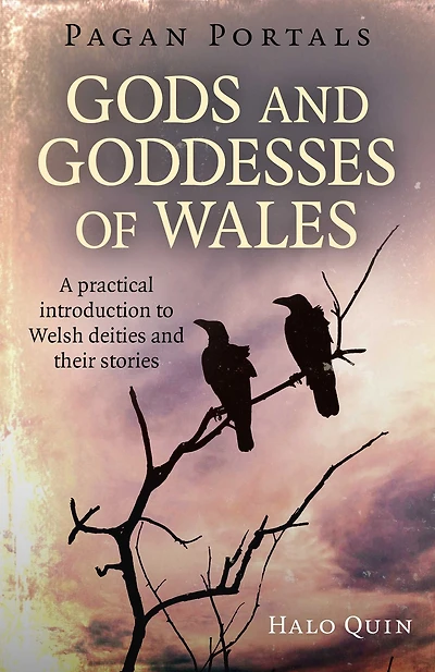 Pagan Portals - Gods And Goddesses of Wales: A Practical Introduction To Welsh Deities Their Stories
