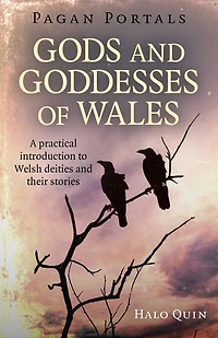Pagan Portals - Gods And Goddesses of Wales: A Practical Introduction To Welsh Deities Their Stories