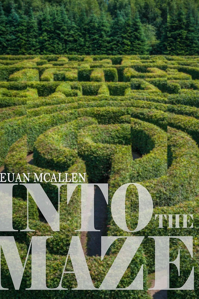 Into the Maze
